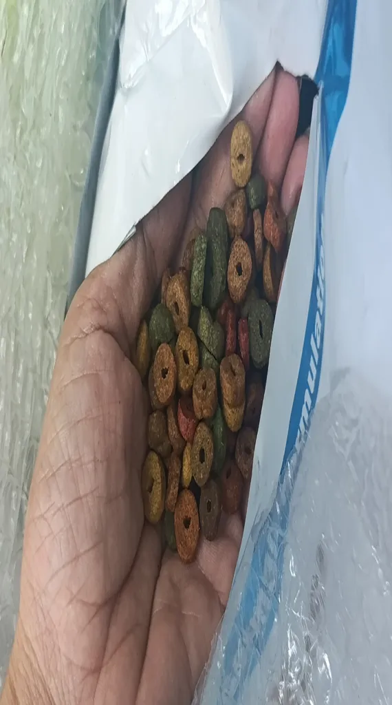 غذای خشک گربه ریلکسی مدل مولتی کالر وزن 10 کیلوگرم