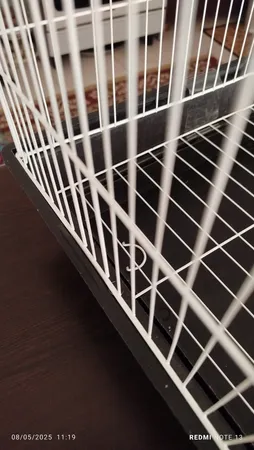 قفس عروس هلندی مدل 1034