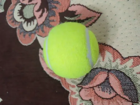 توپ تنیس کد 2087