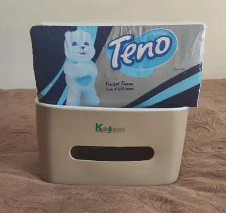 جای دستمال کاغذی کاجین مدل MD851