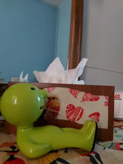 پایه چسب صدف 2 مدل Mr. Small