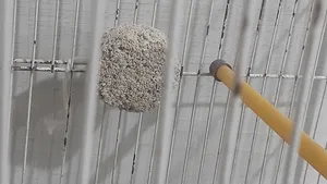 تجریه خرید سنگ بلوک معدنی پرندگان کد I200