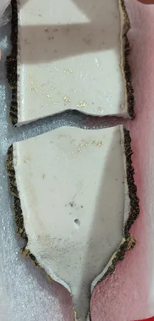 جاعودی طرح پر مدل G2