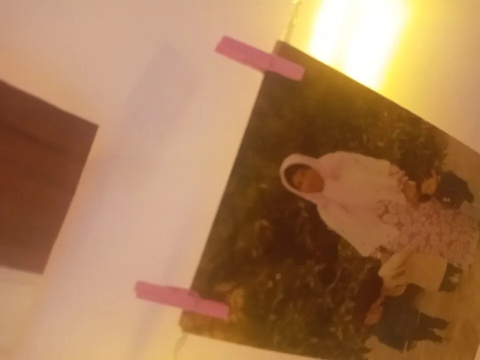 گیره عکس مدل CH20 بسته 20 عددی