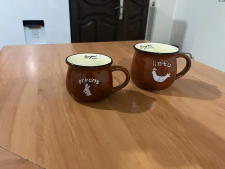 ماگ رجینال کد 1