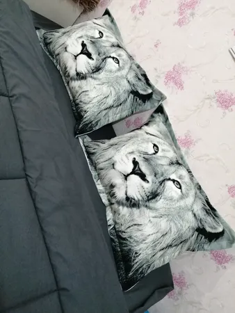 روبالشی مدل P1-20851