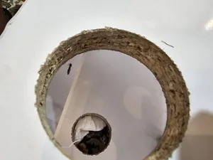 تجریه خرید میز تلویزیون دیواری مدل RE8