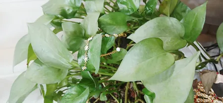 دستبند دخترانه مدل بابونه کد 546