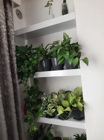 گلدان طرح ارکیده کد 164