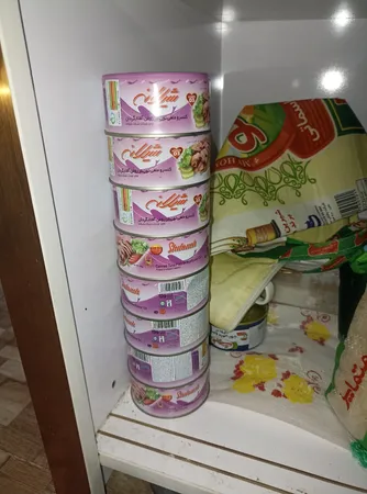 کنسرو ماهی تون در روغن آفتاب گردان شیلانه - 180 گرم