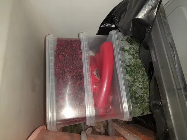 عکس ارسالی خریدار