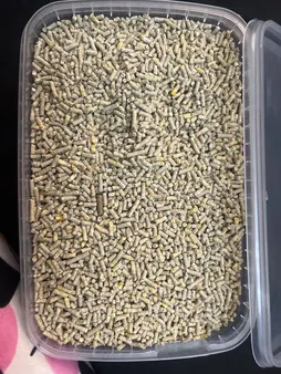 غذای خشک خوکچه هندی مدل پلت A+ وزن 1 کیلوگرم