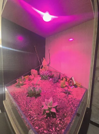 لامپ رشد گیاه 7 وات مدل سقفی توکار