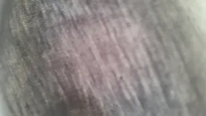 تجریه خرید شورت مردانه برهان تن پوش مدل 1-04