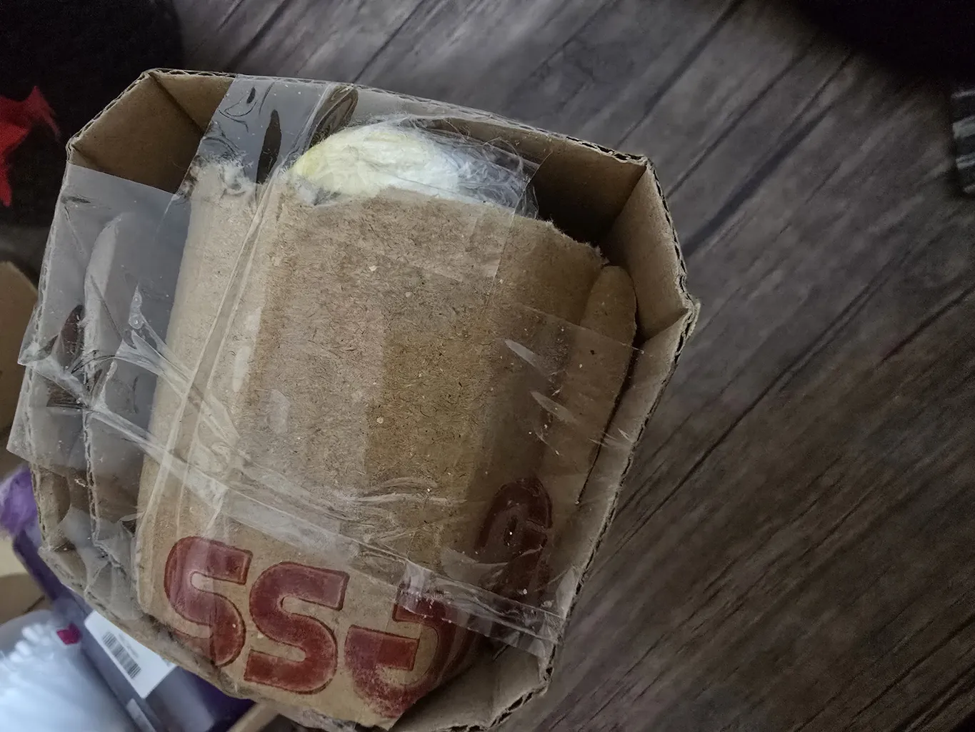 شامپو بچه فیروز مدل کلاسیک حجم 300 میلی لیتر مجموعه 2 عددی