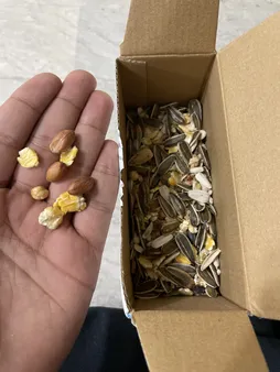 غذای خشک عروس هلندی اوشکایا مدل Nuts Mix وزن 1 کیلوگرم