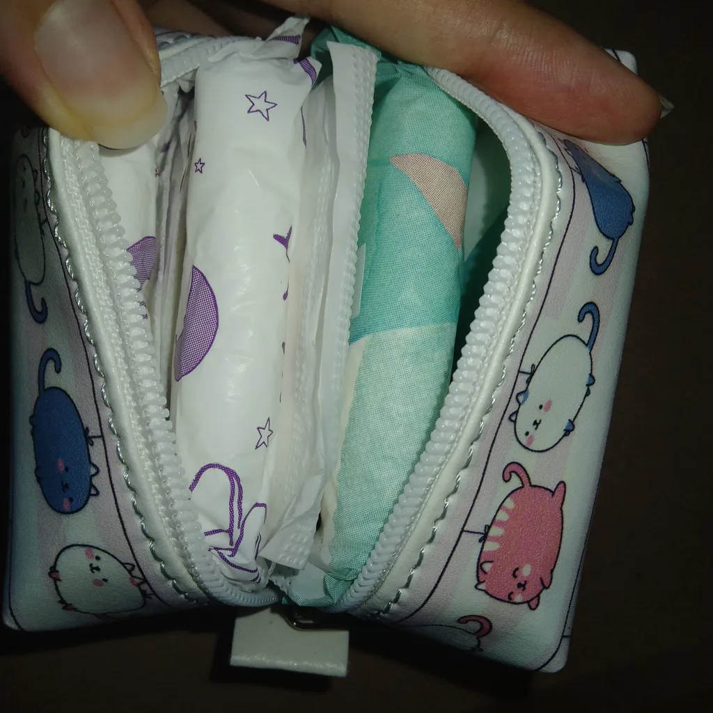 کیف پد بهداشتی فیوری طرح گارفیلد کد 2355