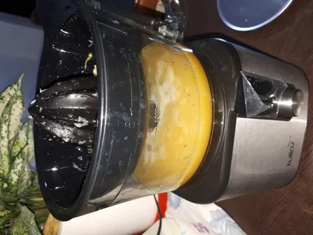 غذاساز تولیپس مدل FP-A460