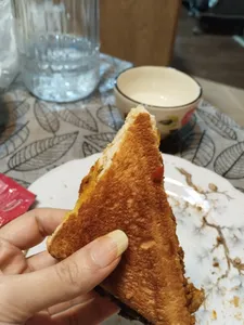 تجریه خرید ساندویچ ساز دسینی مدل 400