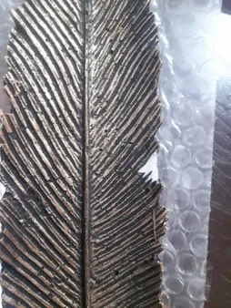 جاعودی طرح پر مدل p2