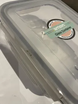 ظرف نگهدارنده لیمون کد 1802