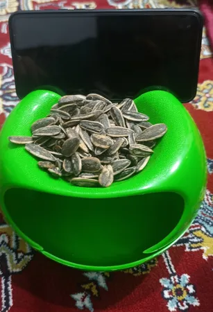 ظرف تخمه خوری مدل هلدر دار کد 002