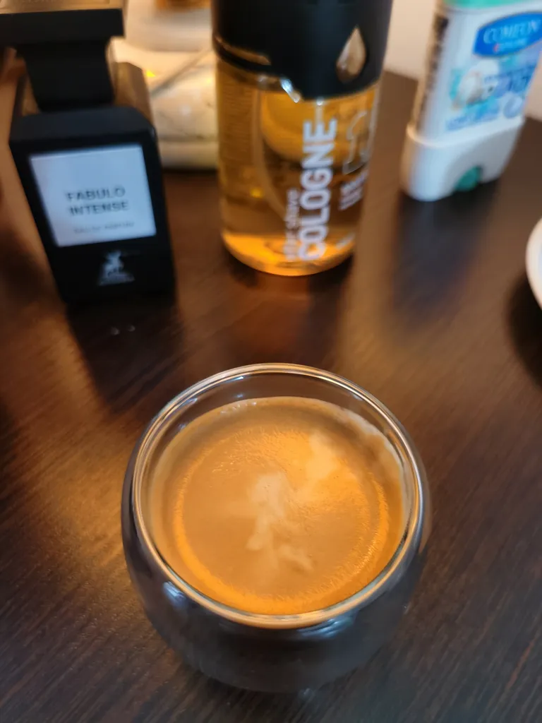 اسپرسو ساز دستی زیگما مدل R55