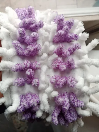 طی زمین شوی مدل 001 به همراه یدک طی