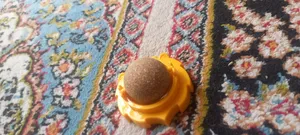 تجریه خرید تشویقی گربه مدل آبنبات میوه گال وزن 100 گرم