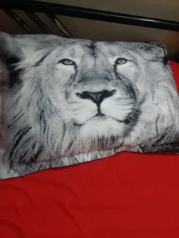 روبالشی مدل P1-20851