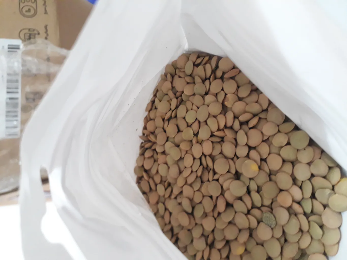 عدس درشت سبز زرین برکت - 1 کیلو گرم