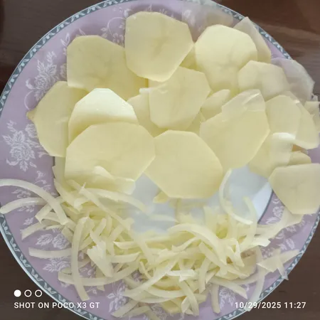 غذاساز مولینکس مدل FP 247127