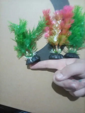 گیاه تزیینی آکواریوم کد 13