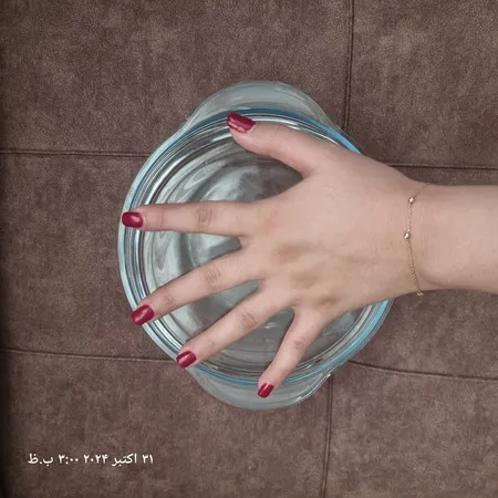 ظرف پخت پاشاباغچه کد 59023