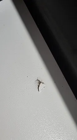 دراور کد FH106