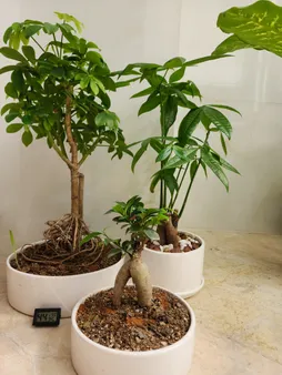 دماسنج و رطوبت سنج سنسور اینترنال مدل HGM0.96