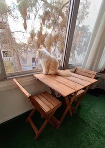 تجریه خرید میز و صندلی ناهاخوری 2 نفره مدل تاشو چوبی