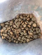 تجریه خرید غذای خشک پروبیوتیک سگ نوتری پت مدل Adult 21Percent وزن 2 کیلوگرم