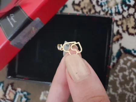 آویز گردنبند طلا 18 عیار زنانه مایا ماهک مدل MM1481 طرح دو قلب