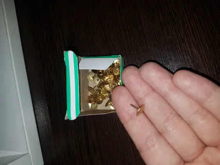 پونز زینگ لی کد 22 بسته 50 عددی