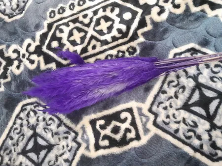 گل خشک مدل دم روباهی 10_4