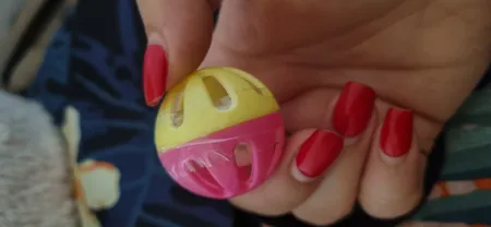 اسباب بازی گربه و سگ توپ زنگوله دار مدل Plastic Bell Balls بسته 6 عددی