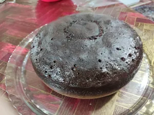 تجریه خرید پلوپز میگل مدل GRC 850