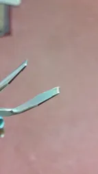 موچین زورانتل مدل Titanium