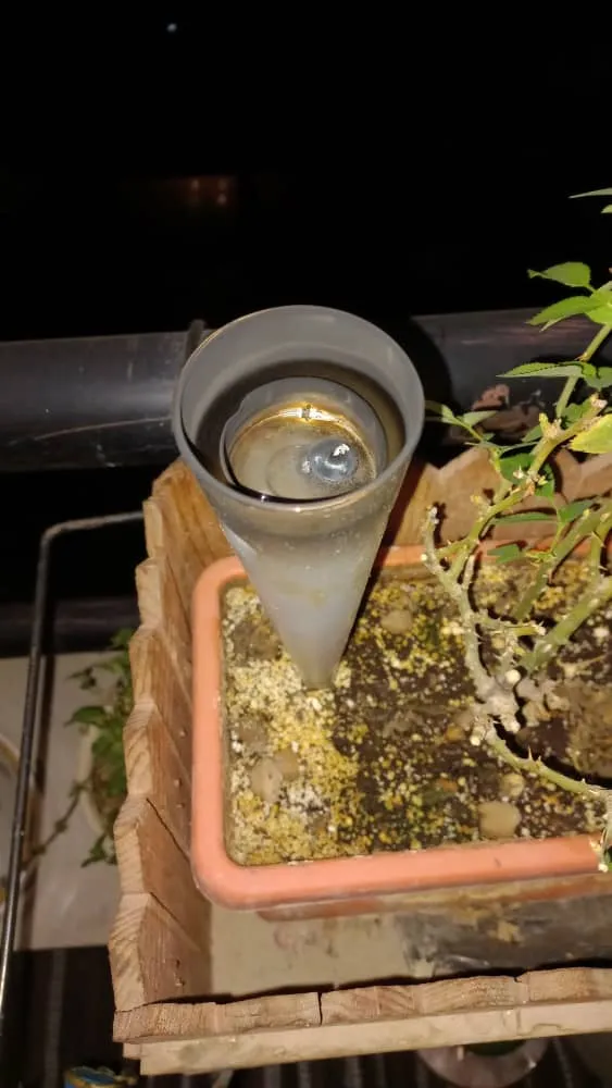 شمع وارمر مدل CW-100 مجموعه 100 عددی