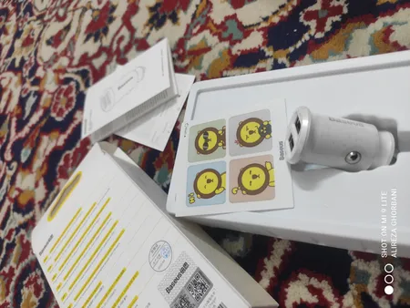 شارژر فندکی باسئوس مدل Grain