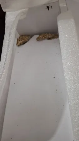 میز تحریر مدل 7