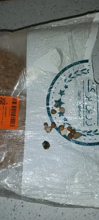 نخود درشت زرین برکت - 2.5 کیلوگرم