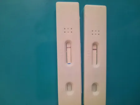 بی بی چک ویتا ساین مدل کاستی بسته 8 عددی