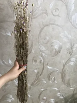 گل خشک مدل ستاره ای